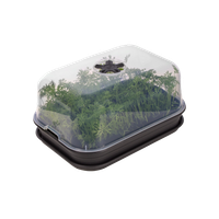 green basics set de cult m living noir